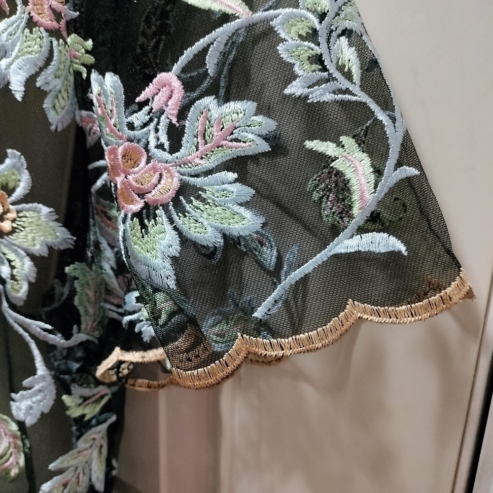 LuLaRoe Deanne II Sheer Embroidered Floral Maxi Dress Black Pink Blue 2XL Plus - Picture 7 of 10